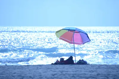 DSC_5010 (Large).JPG